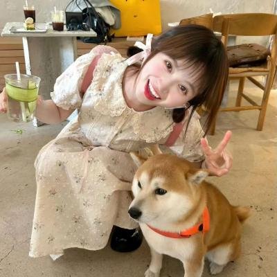 爱在招生部